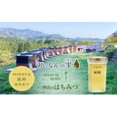 里山のはちみつ　～あいなんの雫～　250g