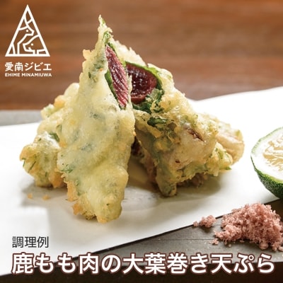 愛南ジビエの鹿モモ肉　500g