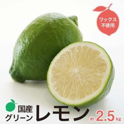 みかん職人の国産グリーンレモン(りのか)2.5kg