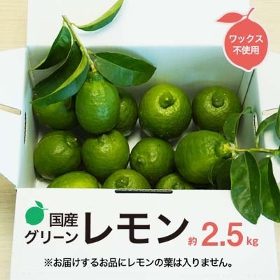 みかん職人の国産グリーンレモン(りのか)2.5kg