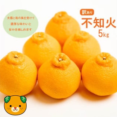 【先行受付】 訳あり 不知火 5kg 2027年3月下旬～ 愛媛県 愛南町 愛南フルーツ