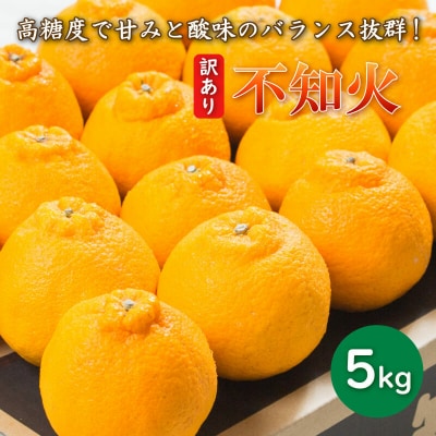 先行受付 訳あり 不知火 5kg 愛媛県 愛南町 愛南フルーツ