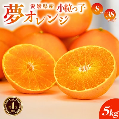 【先行受付】紅まどんなと同品種【訳あり】夢オレンジ 小粒っ子 5kg 夢おれんじ みかん職人武田屋