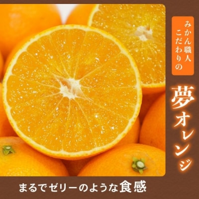 【訳あり】みかん職人の夢オレンジ 小粒っ子 3kg【発送11月中旬～なくなり次第終】みかん職人武田屋