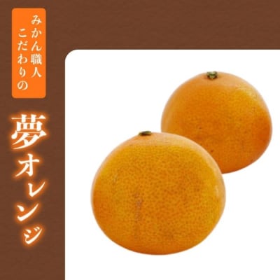 【訳あり】みかん職人の夢オレンジ 小粒っ子 3kg【発送11月中旬～なくなり次第終】みかん職人武田屋