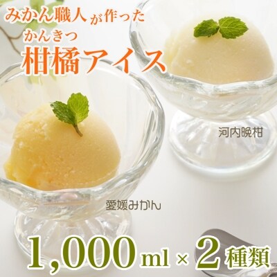 みかん職人が作った柑橘アイス1000ml×2種(愛媛みかん・河内晩柑)