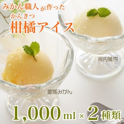 みかん職人が作った柑橘アイス1000ml×2種(愛媛みかん・河内晩柑)