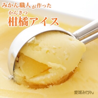みかん職人が作った柑橘アイス1000ml×2種(愛媛みかん・河内晩柑)