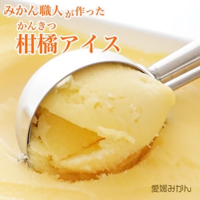 みかん職人が作った柑橘アイス1000ml×2種(愛媛みかん・河内晩柑)