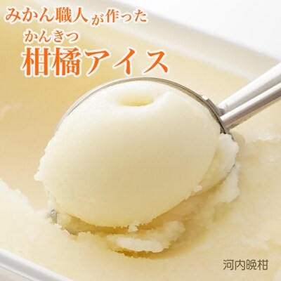 みかん職人が作った柑橘アイス1000ml×2種(愛媛みかん・河内晩柑)