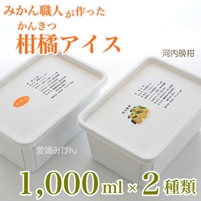 みかん職人が作った柑橘アイス1000ml×2種(愛媛みかん・河内晩柑)