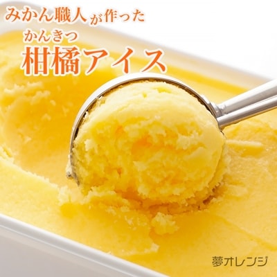 みかん職人が作った柑橘アイス1000ml×2種(夢オレンジ・河内晩柑)