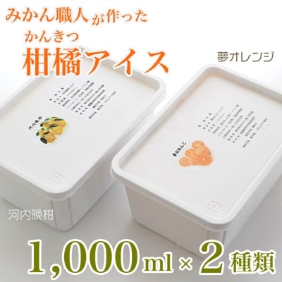 みかん職人が作った柑橘アイス1000ml×2種(夢オレンジ・河内晩柑)