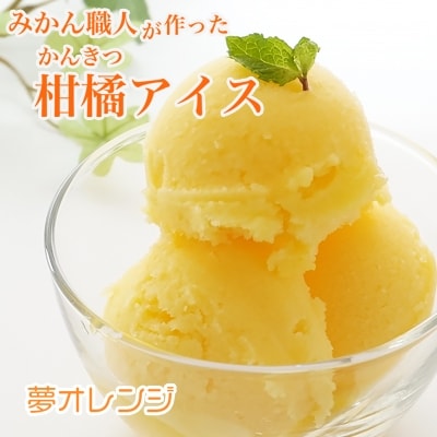 みかん職人が作った柑橘アイス1000ml×2(夢オレンジ×2)