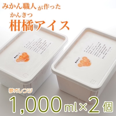 みかん職人が作った柑橘アイス1000ml×2(夢オレンジ×2)