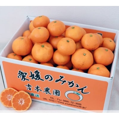 【家庭用】吉本農園の温州みかん3kg