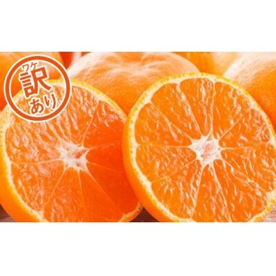 訳あり みかんの山祥が贈る 樹齢25年以上の河内晩柑 中玉5kg お礼品詳細 ふるさと納税なら さとふる