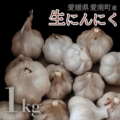 石川ファームの愛南町産にんにく1kg  発送期間:5月20日～11月30日