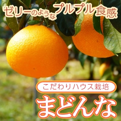 数量限定 こだわりハウス栽培 まどんな (愛果28号) 5kg