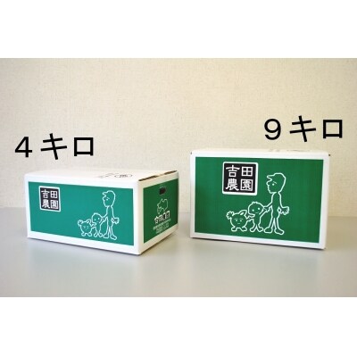 【訳あり】愛南育ち 吉田農園 愛南産の河内晩柑4kg