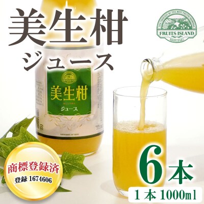 美生柑(みしょうかん)ジュース　1000ml×6本