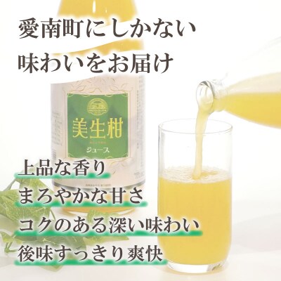 美生柑(みしょうかん)ジュース　1000ml×2本 