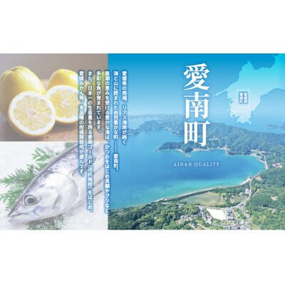 先行受付 河内晩柑 樹齢30年以上 7.5kg (サイズミックス) 果樹園みどり 愛南町 愛媛県