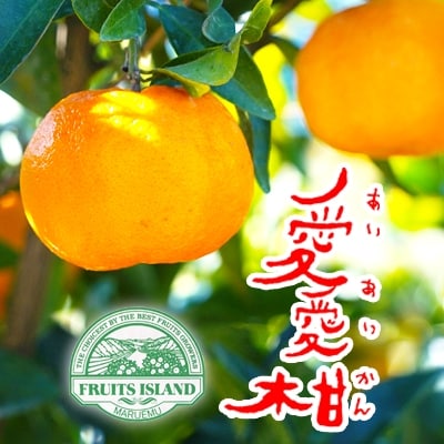 【先行受付】【2027年1月10日～】愛愛柑 約10kg ポンカン フルーツアイランド・マルエム直販