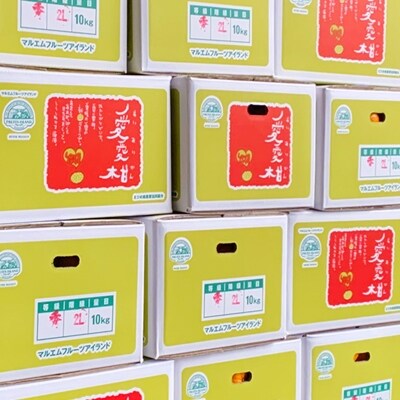 【先行受付】【2027年1月10日～】愛愛柑 約10kg ポンカン フルーツアイランド・マルエム直販