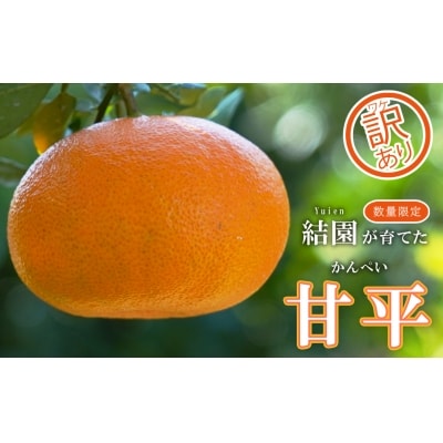 【訳あり】結園の甘平4kg