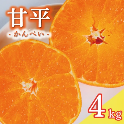 甘平 4kg かんぺい みかんの山祥 愛南町 愛媛県