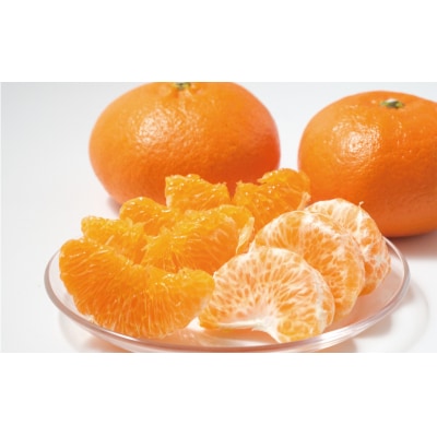 甘平 4kg かんぺい みかんの山祥 愛南町 愛媛県