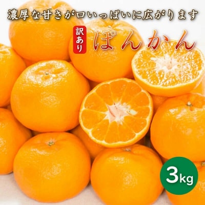 【先行受付】 訳あり 減農薬 ポンカン 3kg 2027年1月中旬～ 愛媛県 愛南町 愛南フルーツ