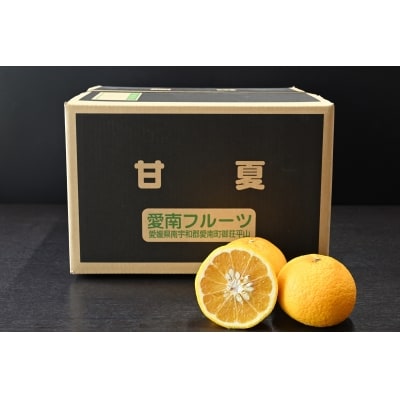 【家庭用】愛南フルーツの甘夏10kg