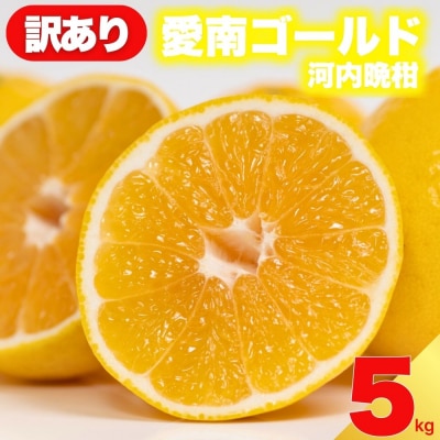 先行受付 訳あり 愛南ゴールド ( 河内晩柑 ) 5kg 減農薬 愛媛県 愛南町 愛南フルーツ