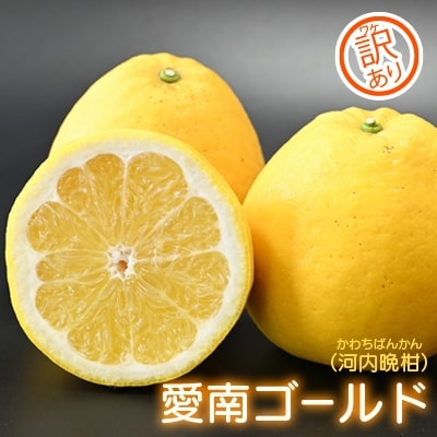 先行受付【訳あり】愛南ゴールド(河内晩柑)10kg 愛南フルーツ