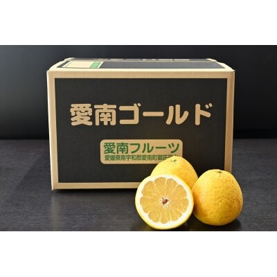 【訳あり】愛南フルーツの愛南ゴールド(河内晩柑)10kg