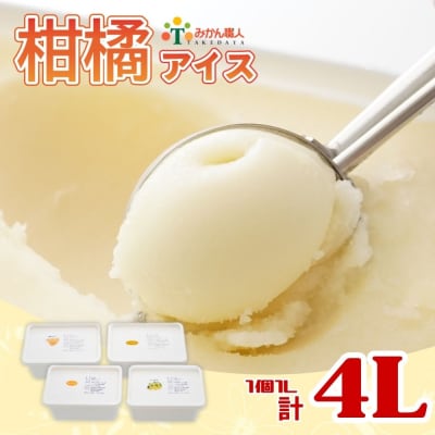 みかん職人が作った柑橘アイス1000ml×4種(夢オレンジ・愛媛みかん・河内晩柑・しらぬい)
