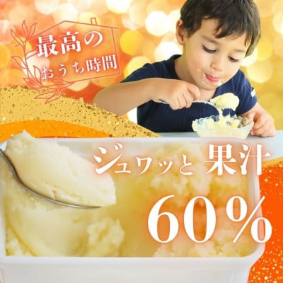 みかん職人が作った柑橘アイス1000ml×4種(夢オレンジ・愛媛みかん・河内晩柑・しらぬい)