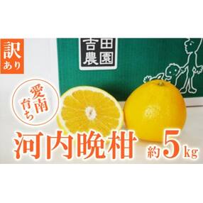 【訳あり】愛南育ち 吉田農園 愛南産の河内晩柑5kg