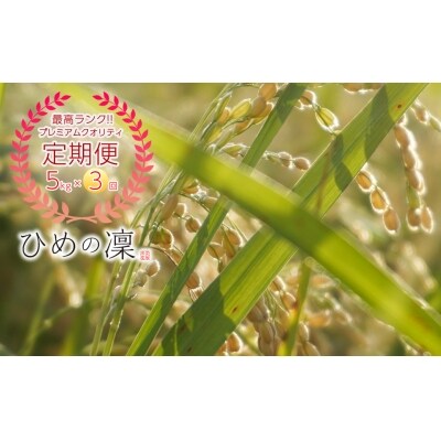 【定期便】マルハラファームのひめの凜【PremiumQuality】5kg×3回お届け