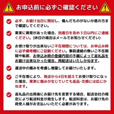 【訳あり】みかん職人のなつみ5kg なつみ みかん 蜜柑 柑橘 果物 フルーツ みかん職人武田屋