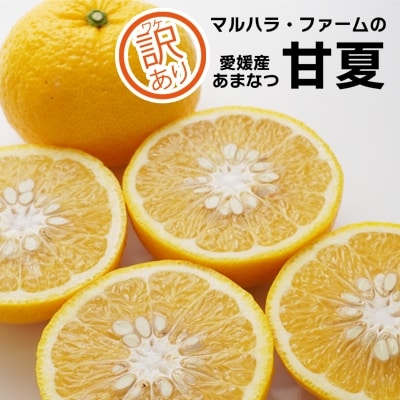 【訳あり】マルハラファームの甘夏5kg