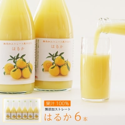 みかん職人が作ったはるかジュース720ml×6本