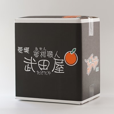 みかん職人が作ったはるかジュース720ml×6本