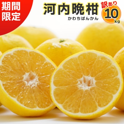 【訳あり】みかん職人武田屋の河内晩柑10kg