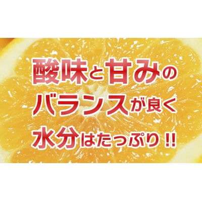 【訳あり】みかん職人武田屋の河内晩柑10kg