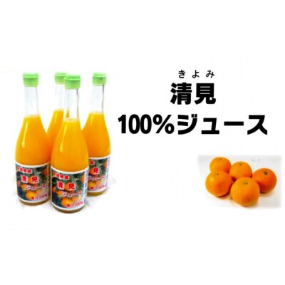 フルーツアイランド・マルエムの清見ストレートジュース720ml×4本