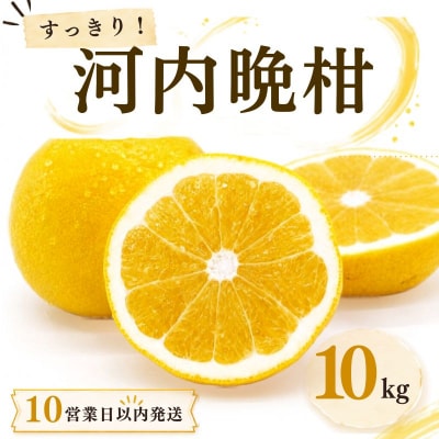 【10営業日以内発送】河内晩柑 ばんかん 10kg 家庭 柑橘 みかん マルエム直販 愛媛県 愛南町