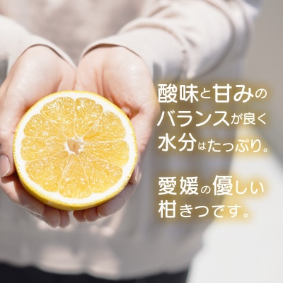 先行受付【訳あり】フルーツアイランド・マルエム直販の愛南産の河内晩柑10kg